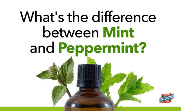 Difference between Mint and Peppermint Dixie