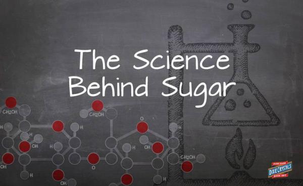 The Science of Sugar & How it Plays a Vital Role in Baking