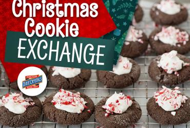 Christmas Cookie Exchange Cookbook Dixie