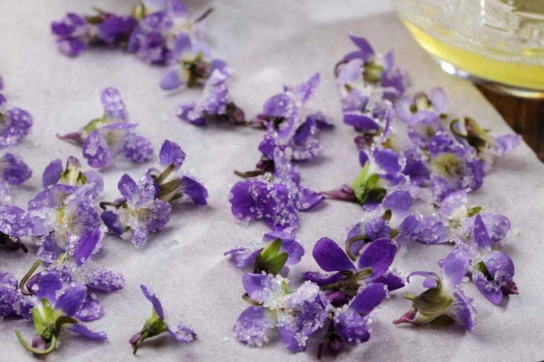 How to Crystallize Edible Flowers for Beautiful Dessert