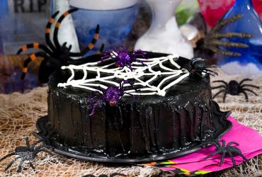 Along Came a Spidery Chocolate Cake dixie