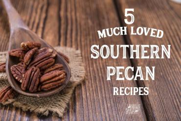 5 Much Loved Southern Pecan Recipes