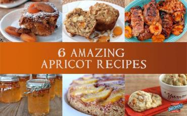 6 Amazing Apricot Recipes Dixie